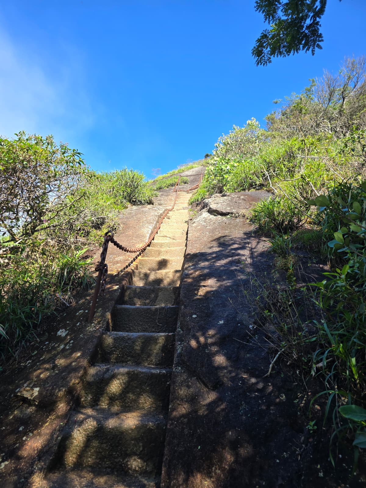 Escadaria com corrente no Pico da Tijuca